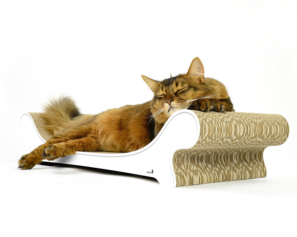 weiß mit Rand (000) - Bild 2