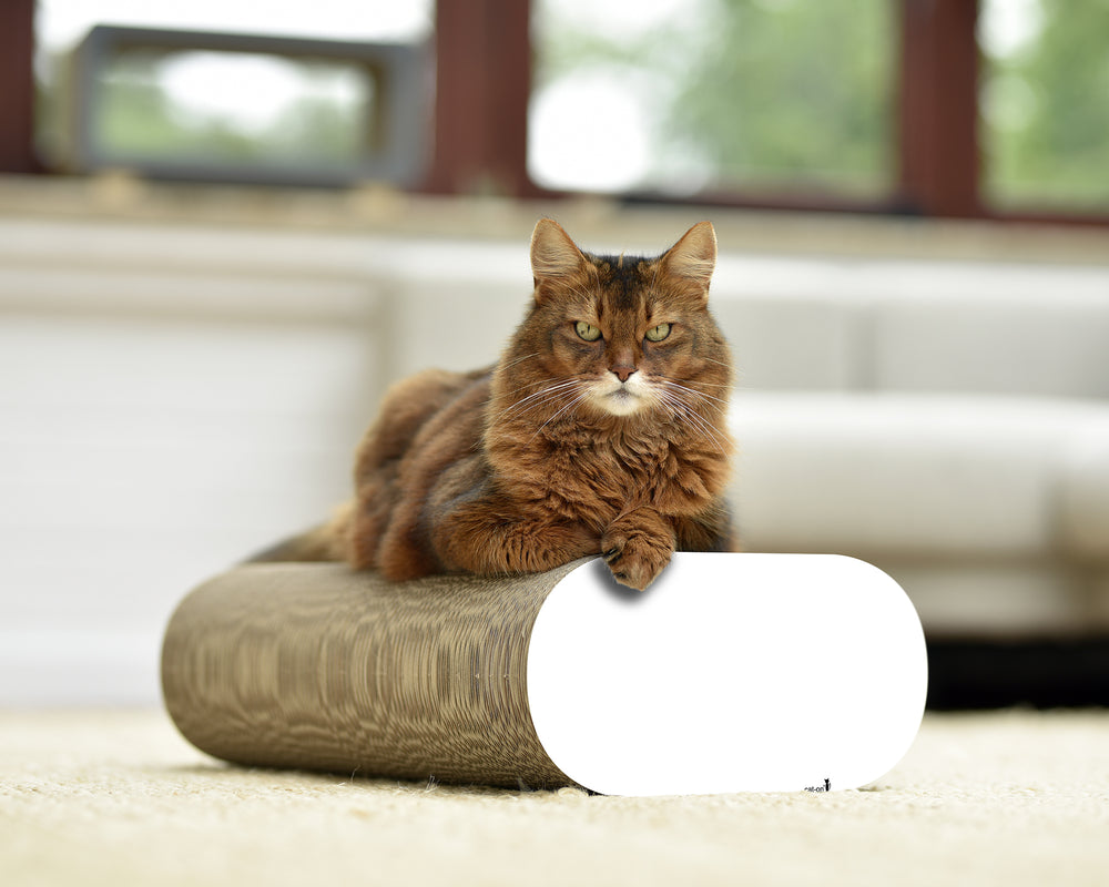 weiß,  gestrichen (000x) - Bild 1