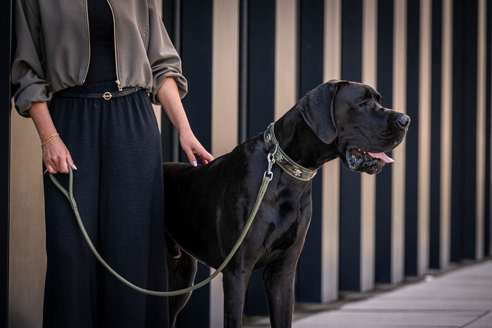Elegante Person in stilvoller Kleidung mit einem ruhigen schwarzen Hund an der Leine vor moderner Gebäude-Fassade.