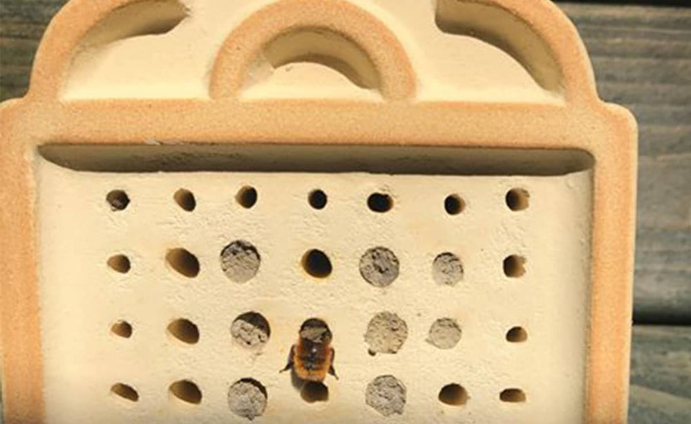 Terrakottafarbenes Wildbienenhaus-Set mit 3 Nisthilfen und Biene auf der Vorderseite. Ideal für Gartenvögel.