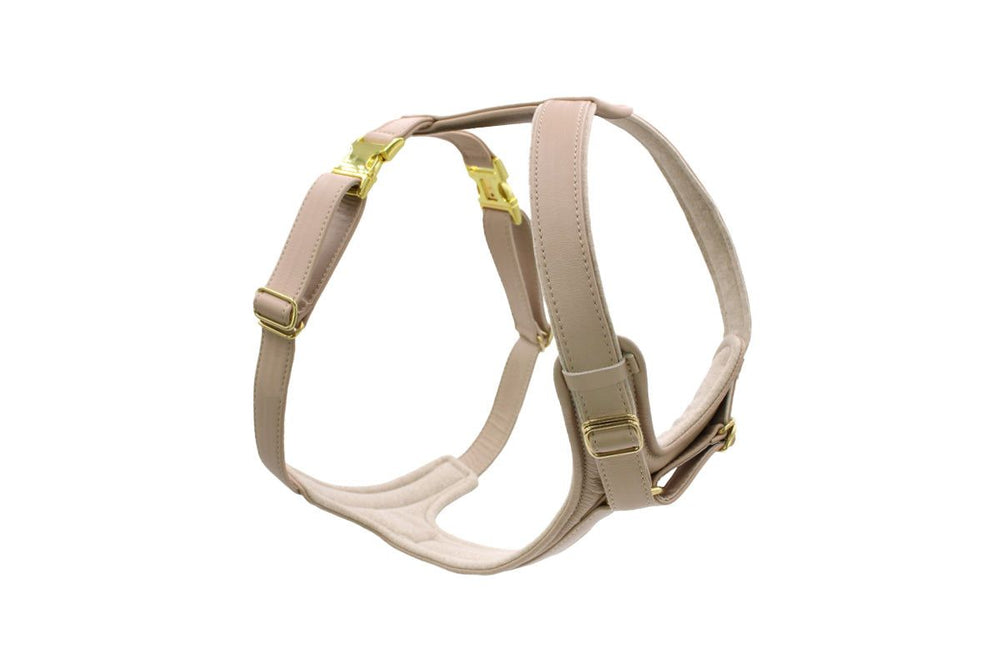 Beiges Ledergeschirr für Hunde, zweifach verstellbar mit goldenen Schnallen für optimalen Komfort und Sitz.