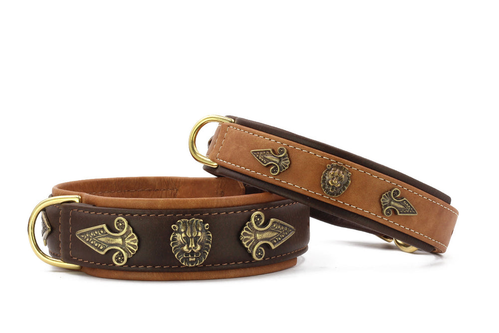 "Dunkelbraunes Hundehalsband mit Löwenkopf und goldenen Verzierungen, neben hellbraunem Halsband."