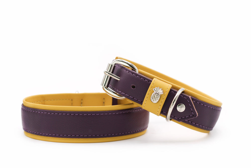 Zwei stilvolle Hundehalsbänder: lila schlicht und lila-gelb mit silbernem Verschluss für trendy Vierbeiner.