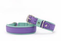 "Halsband Spring Break: zwei Hundehalsbänder in lila und mintgrün, eines schlicht und breit, das andere schmal mit Schnalle."