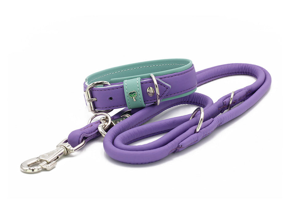 Halsband und Leine in Lila und Mintgrün, ideal für Hunde, mit Schnalle und gepolsterter Handgriff.