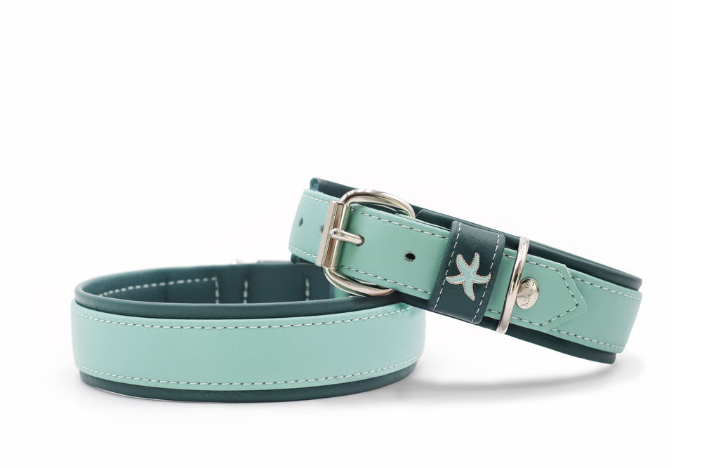 Zwei mintgrüne Halsbänder mit silbernem Schnallenverschluss und dekorativen Details auf glatter Oberfläche.
