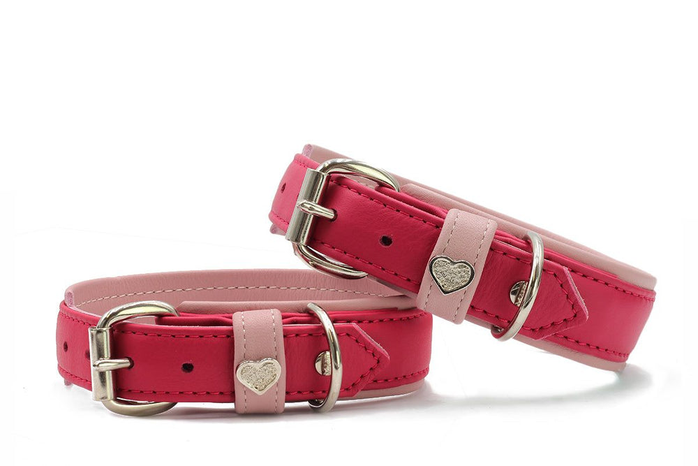 Stylische Leder-Hundehalsbänder in verschiedenen Pinktönen mit silberner Schnalle und Herz-Akzent.