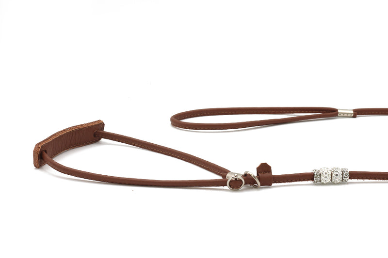 Braune Fein verstellbare Lederleine mit Perlen und Karabinerhaken für stilvolle Hundeausführungen.