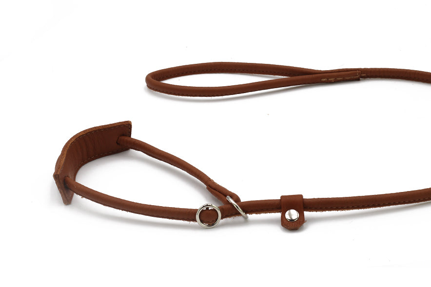 Braunes verstellbares Lederhalsband für große Hunde mit simplem Design und hochwertiger Oberfläche.