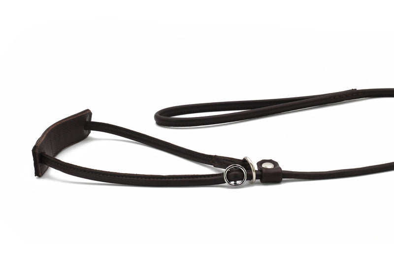 Verstellbare braune Lederleine für große Hunde, mit Griff und Ring, auf weißem Hintergrund.