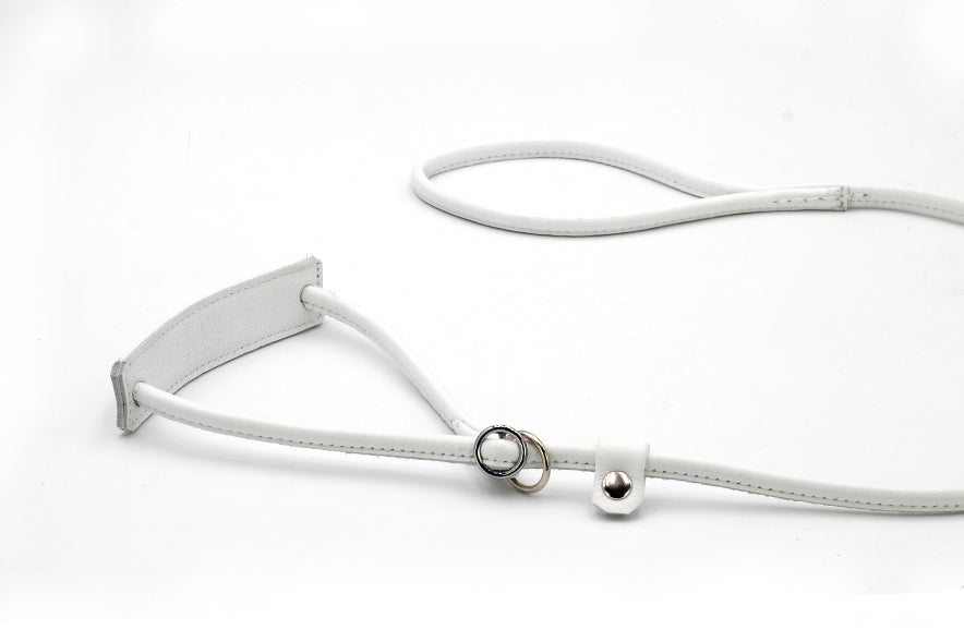 Verstellbares Lederhalsband für große Hunde, elegant mit doppeltem Ring und Silberverzierung, hochwertige Verarbeitung.