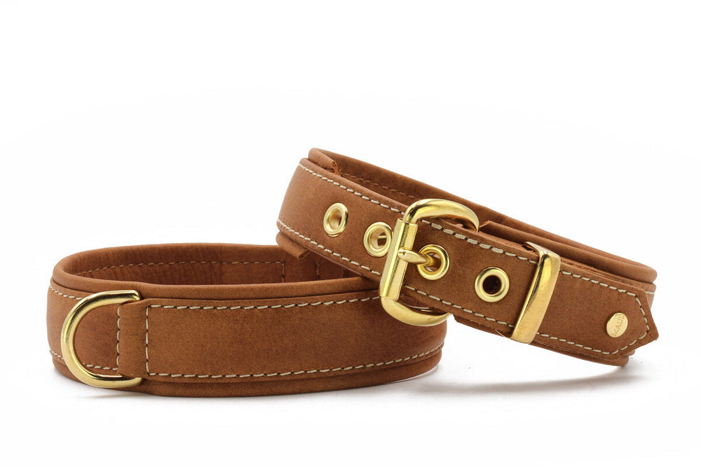 Braune Lederhalsbänder im Old English Stil mit goldenen Beschlägen, Schnalle und D-Ring zur Anpassung für Hunde.