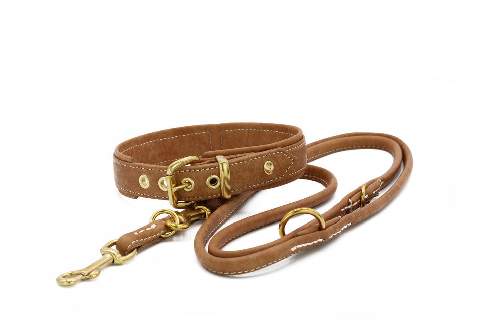 Braune Leder-Hundeleine mit goldfarbenen Beschlägen und stabiler Schnalle für sichere Befestigung. Elegantes Design.