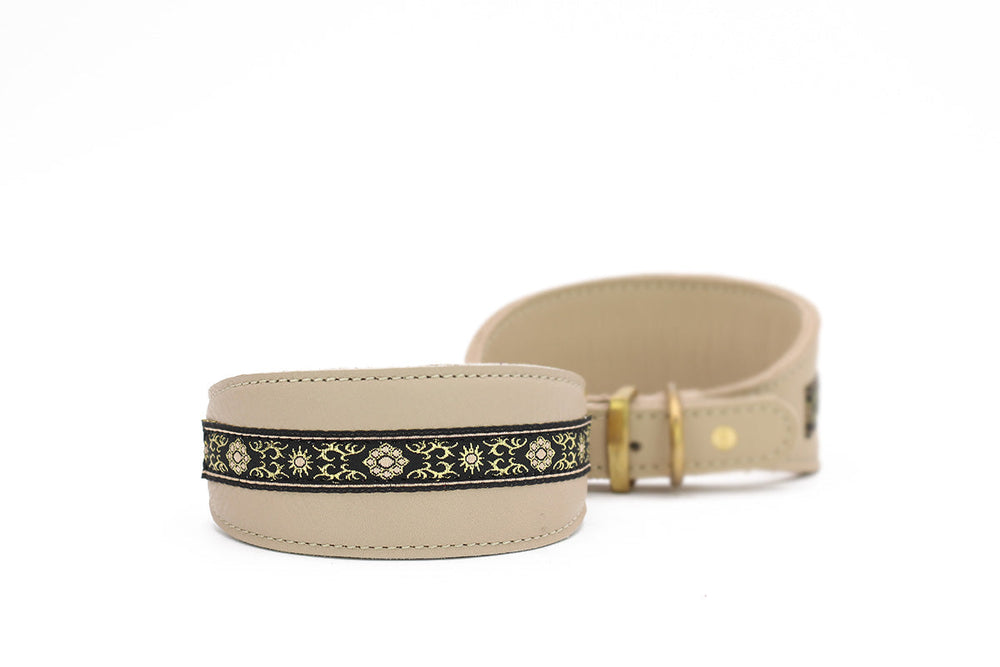 Zwei elegante Windhundhalsbänder aus hellem Leder mit schwarzer Borte und goldenen floralen Mustern.