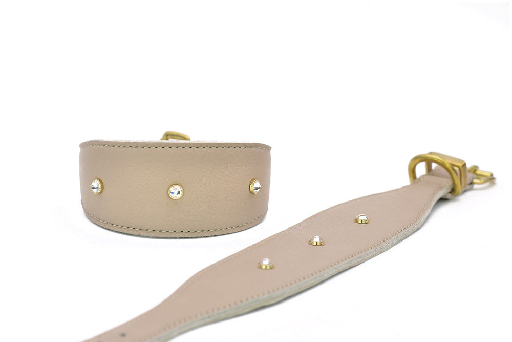 Beiges Windhundhalsband mit goldenen Beschlägen und glitzernden Strasssteinen für einen eleganten Look.