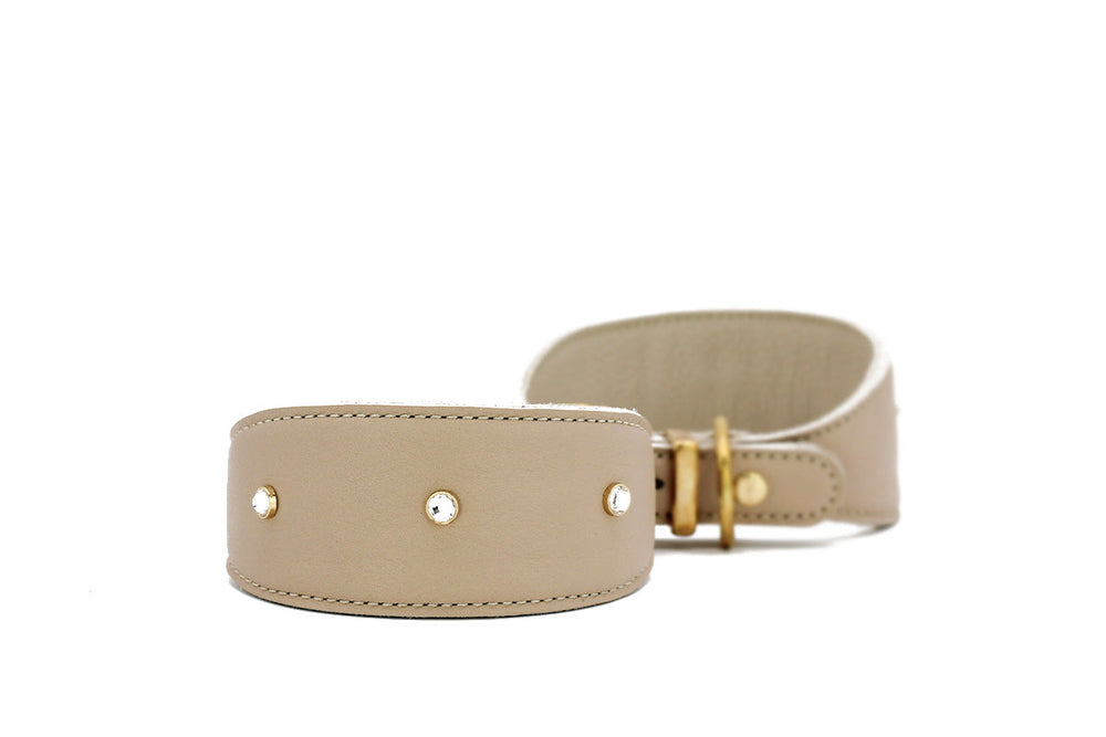 Beiges Windhundhalsband mit goldenen Nieten und Schnalle, elegant und bequem für Hunde.