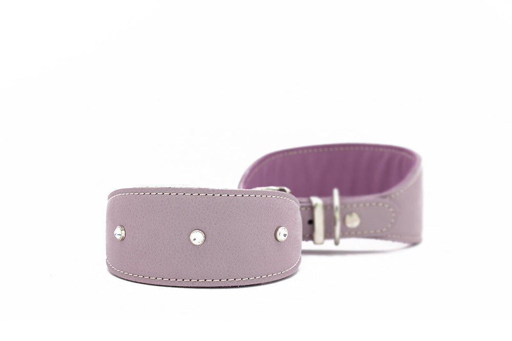 Lila Lederarmband für Windhunde mit silbernen Nieten und glatter Innenseite, elegant und robust.