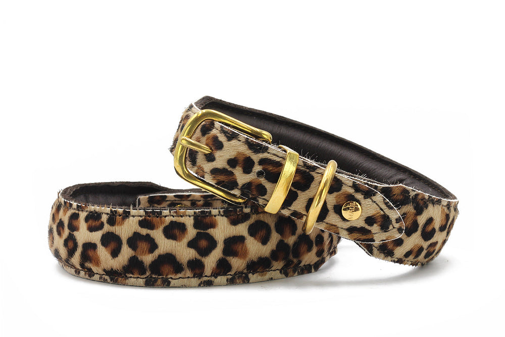 Leopardgemusterter Fellgürtel mit goldenen Metallteilen und klassischer Schnalle in elegantem Design.