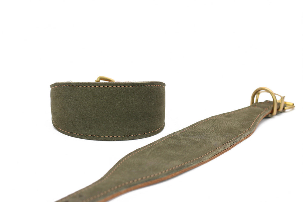 Robustes olivgrünes Windhundhalsband aus Leder mit 4 cm Breite und dekorativer heller Naht. Ideal für stilbewusste Hunde.