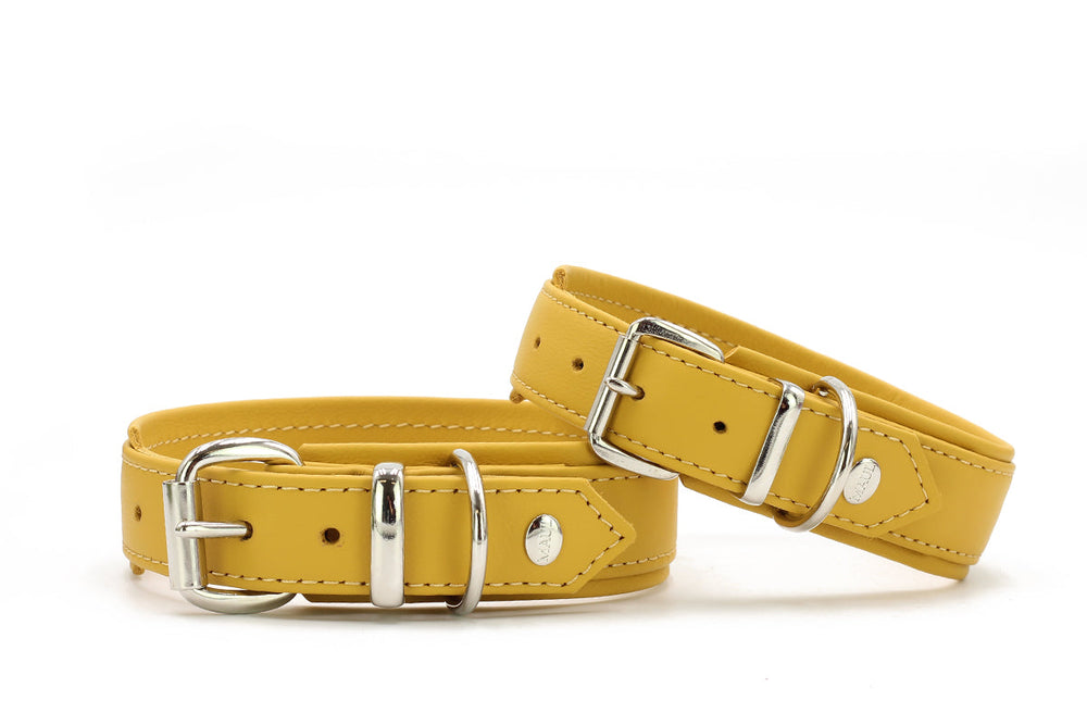 Zwei gelbe Lederhalsbänder mit silbernen Schnallen in unterschiedlichen Breiten, glatte Oberfläche.