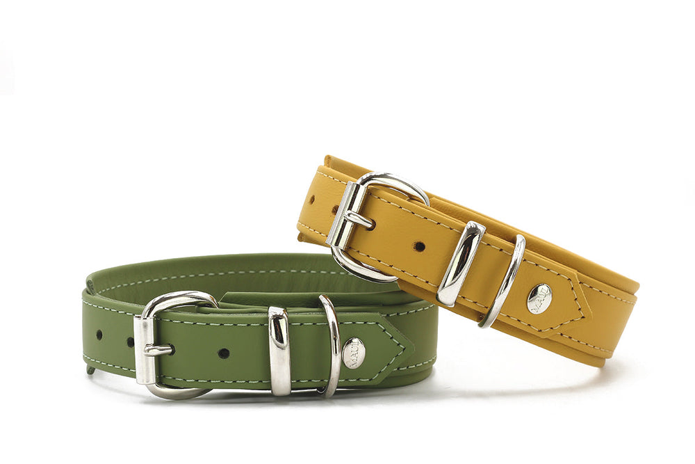 Zwei Hundehalsbänder aus Kunstleder: ein mattes grünes und ein leuchtend gelbes, beide mit silberfarbener Hardware.