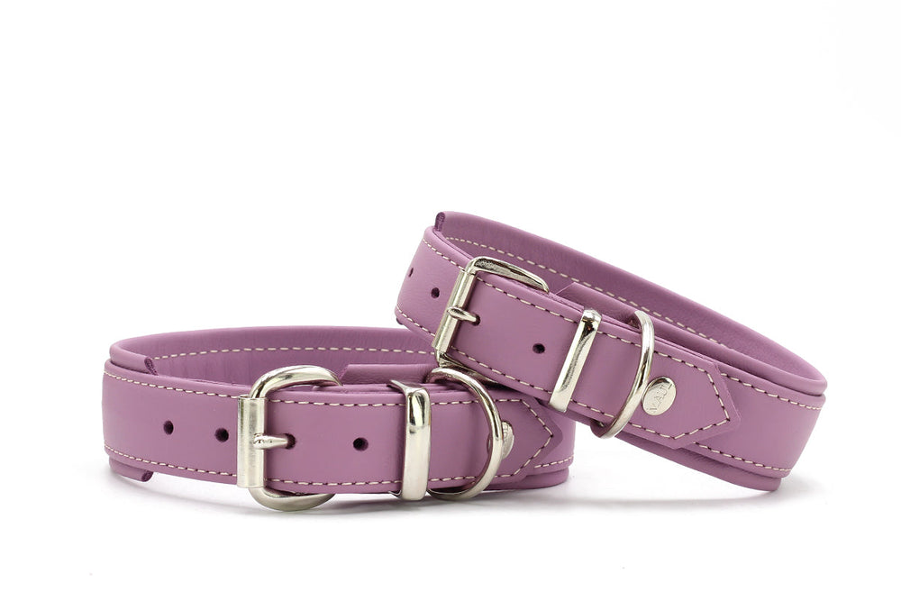 Zwei lila Halsbänder für Hunde aus Leder mit silberner Schnalle und D-Ring, schlichtes Design und helle Näht.
