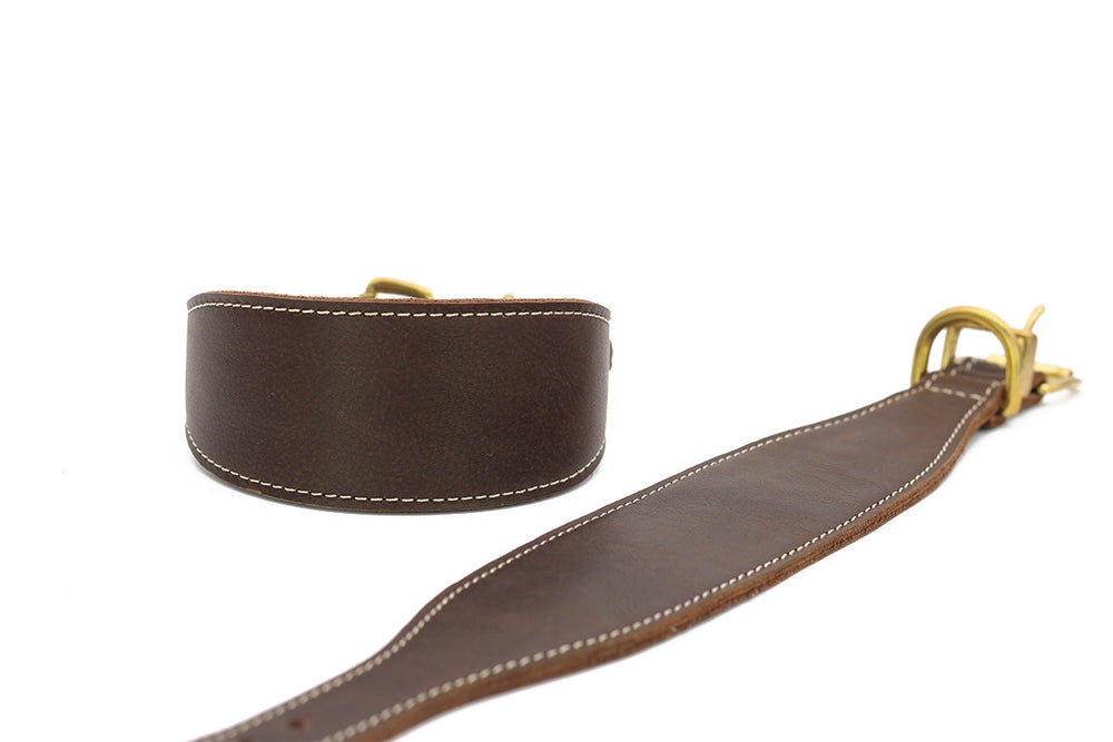 Braunes Ledergürtel-Halsband für Windhunde mit heller Naht und goldfarbener Schnalle, stilvoll und robust.