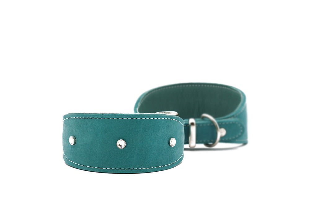 Teal-farbenes Windhundhalsband aus weicher Lederoptik mit silbernen Nieten und Metallöse für die Leine.