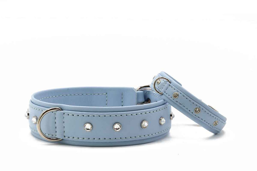 Halsband Sunrise: Zwei blaue Lederhundehalsbänder mit silbernen Nieten, eines breiter, eines schmaler.