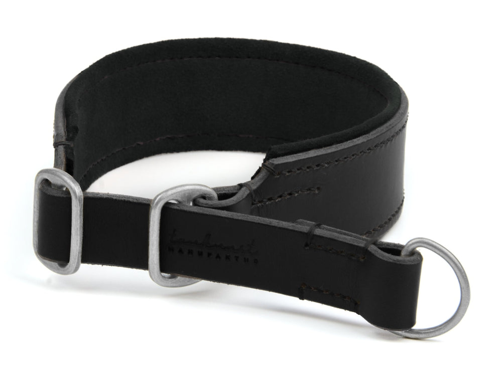 Schwarzes, gepolstertes Lederhalsband mit Metallringschnallen und D-Ring für Hunde, schlicht und hochwertig.