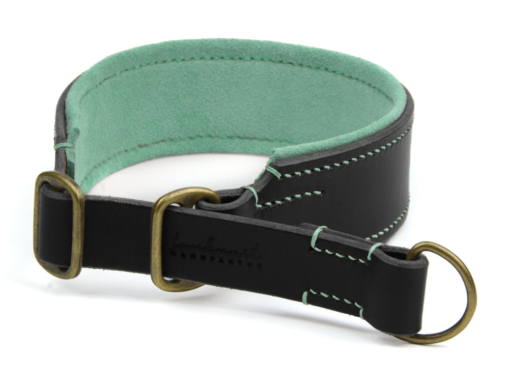 Stabiles schwarzes Lederhalsband für Hunde mit mintgrüner Innenfläche und goldenen D-Ringen. Elegantes Design.