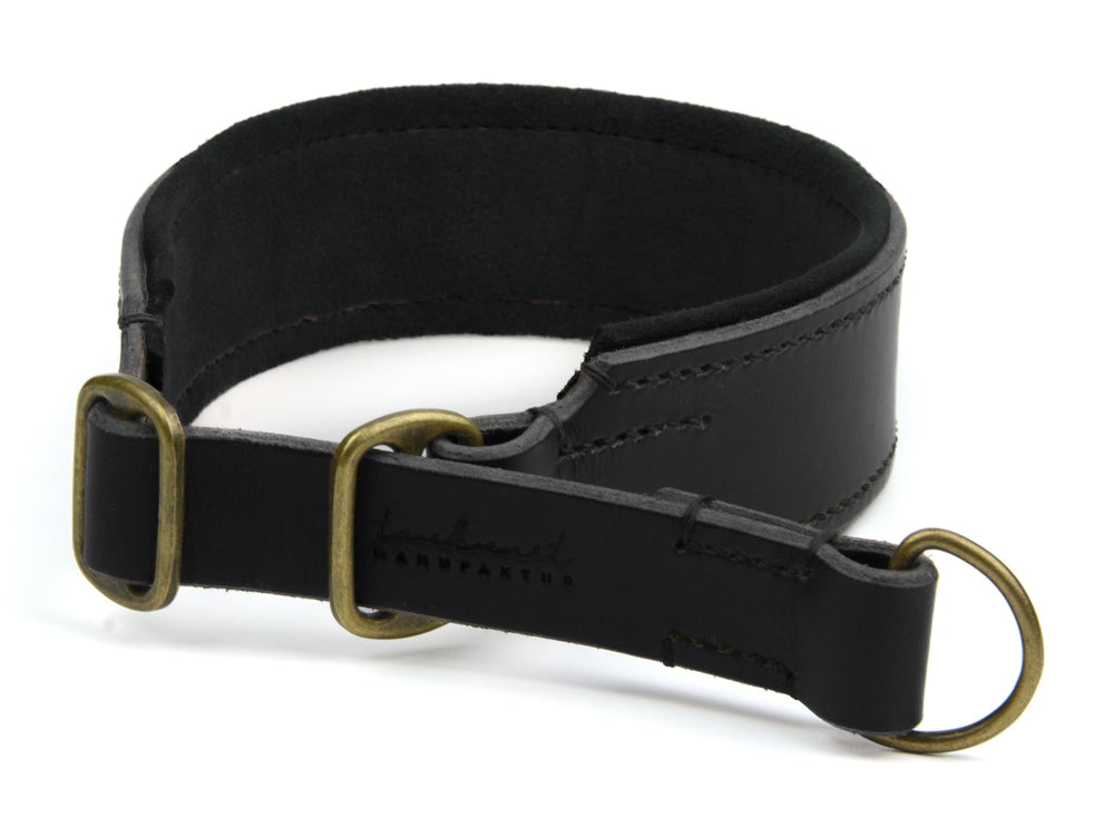 Braunes Lederhalsband mit Goldakzenten und weichem Futter für optimalen Tragekomfort, ideal für Hunde.